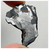 13002 A3 - New "NWA 14444" Pallasite Meteorite 7.22g Thin Etched Slice