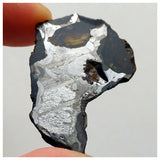 13002 A3 - New "NWA 14444" Pallasite Meteorite 7.22g Thin Etched Slice