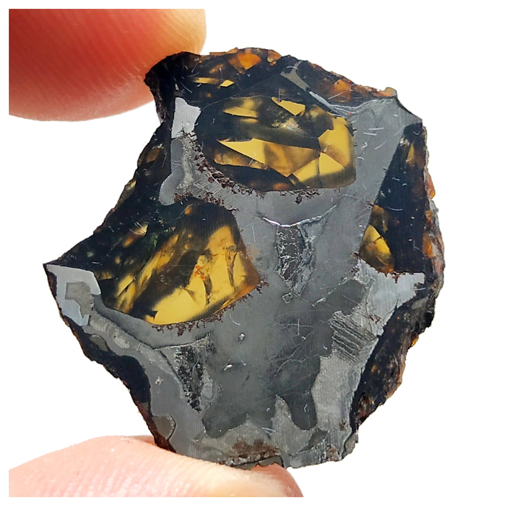 13003 A4 - New "NWA 14444" Pallasite Meteorite 5.24g Thin Etched Slice