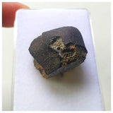 13032 A29 -  Fresh Crusted NWA 13860 LL6 Ordinary Chondrite Meteorite 10.78g MAIN MASS