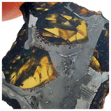 13003 A4 - New "NWA 14444" Pallasite Meteorite 5.24g Thin Etched Slice