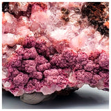 SWJ0034 - Finest Grade Pink Cobaltoan Calcite Crystals on Matrix - Bou Azzer Mine (Morocco)