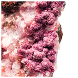 SWJ0034 - Finest Grade Pink Cobaltoan Calcite Crystals on Matrix - Bou Azzer Mine (Morocco)
