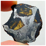 13003 A4 - New "NWA 14444" Pallasite Meteorite 5.24g Thin Etched Slice