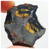 13003 A4 - New "NWA 14444" Pallasite Meteorite 5.24g Thin Etched Slice