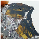 13003 A4 - New "NWA 14444" Pallasite Meteorite 5.24g Thin Etched Slice