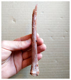 G146 - Rare Cretaceous 6.49'' Azhdarchid Pterosaur Unidentified Limb Bone