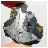 13004 A5 - New "NWA 14444" Pallasite Meteorite 5.05g Thin Etched Slice