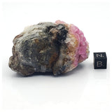 SWJ0033 - Finest Grade Pink Cobaltoan Calcite Crystals on Matrix - Bou Azzer Mine (Morocco)