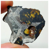13006 A7 - New "NWA 14444" Pallasite Meteorite 5.21g Thin Etched Slice