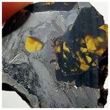 13006 A7 - New "NWA 14444" Pallasite Meteorite 5.21g Thin Etched Slice