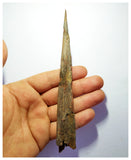 G81 - Exceedingly Rare 6.45 Inch Cretaceous Azhdarchid Pterosaur Dentary Bone