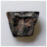 S55 - Ouranosaurus nigeriensis Basal Hadrosaur Dinosaur Tooth Cretaceous Elrhaz Fm