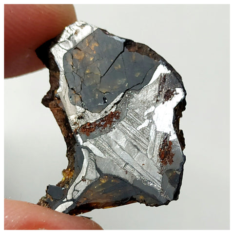 13008 A9 - New "NWA 14444" Pallasite Meteorite 2.89g Thin Etched Slice