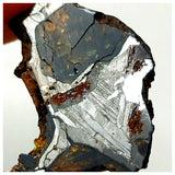 13008 A9 - New "NWA 14444" Pallasite Meteorite 2.89g Thin Etched Slice