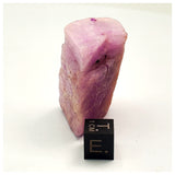 SWJ0060 - Top Rare Kunzite (Spodumene) Rough Specimen from Nigeria