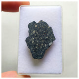 14000 A43 -''NWA 13258'' CVox3 Carbonaceous Chondrite Meteorite 3.44g Polished Endcut
