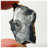 13010 A11 - New "NWA 14444" Pallasite Meteorite 4.64g Thin Etched Slice