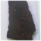 14001 A23 - "NWA 13758" R3 Rumuruti Chondrite Meteorite 3.76g Polished Slice