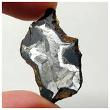 13010 A11 - New "NWA 14444" Pallasite Meteorite 4.64g Thin Etched Slice