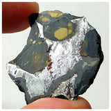 13011 A12 - New "NWA 14444" Pallasite Meteorite 4.88g Thin Etched Slice