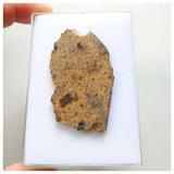 14017 A53 - Nice "NWA 13472" LL4-6 Ordinary Chondrite Meteorite 10.85g Crusted Slice