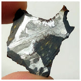 13012 A13 - New "NWA 14444" Pallasite Meteorite 3.44g Thin Etched Slice
