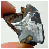 13014 A15 - New "NWA 14444" Pallasite Meteorite 19.4g Etched Endcut