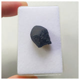 13030 A19 - New "NWA 14740" (Provisional) Carbonaceous Chondrite C3 Ung Meteorite 3.05g