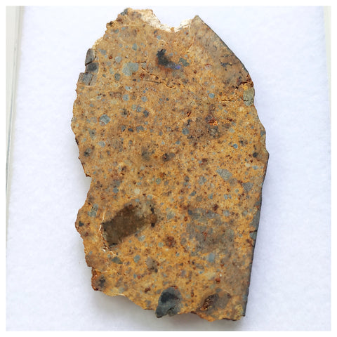 14017 A53 - Nice "NWA 13472" LL4-6 Ordinary Chondrite Meteorite 10.85g Crusted Slice