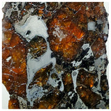 13016 - Amazing Scarce "AWSSERD 002" Pallasite Meteorite 11.44g Thin Polished Slice