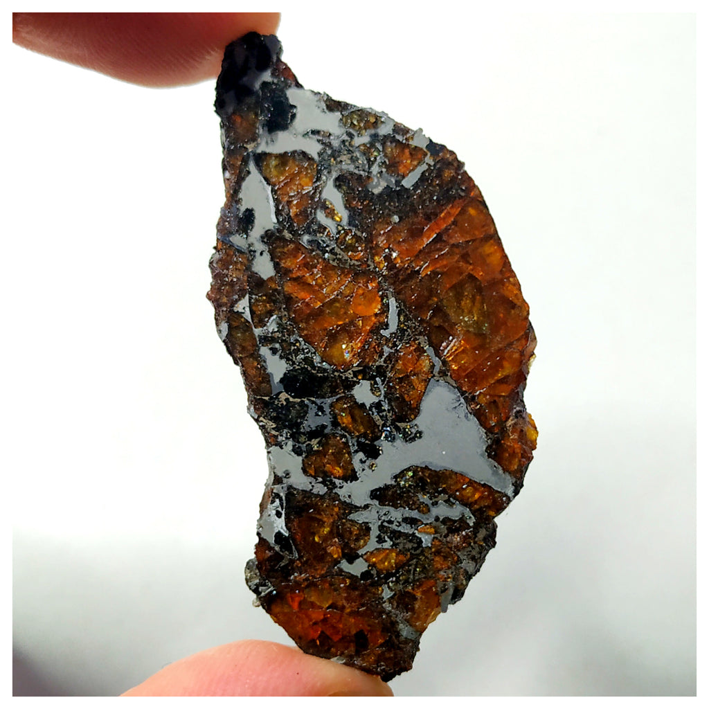 13016 - Amazing Scarce "AWSSERD 002" Pallasite Meteorite 11.44g Thin Polished Slice