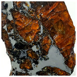 13016 - Amazing Scarce "AWSSERD 002" Pallasite Meteorite 11.44g Thin Polished Slice