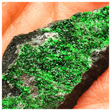 SWJ0065 - Rare Green Uvarovite (Garnet Group) Cluster - Russia