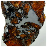 13016 - Amazing Scarce "AWSSERD 002" Pallasite Meteorite 11.44g Thin Polished Slice