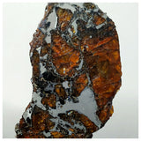 13016 - Amazing Scarce "AWSSERD 002" Pallasite Meteorite 11.44g Thin Polished Slice