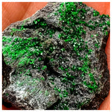 SWJ0067 - Rare Green Uvarovite (Garnet Group) Cluster - Russia