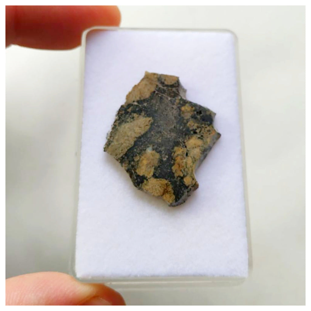 14014 A73 - Beautiful "NWA 13861" HED Meteorite Eucrite Melt Breccia 2.14g Part Slice