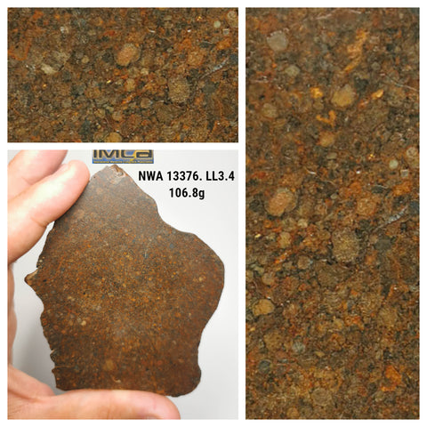 Northwest Africa 13376 106.8g Slice LL3.4 Unequilibrated chondrite. Oz Order