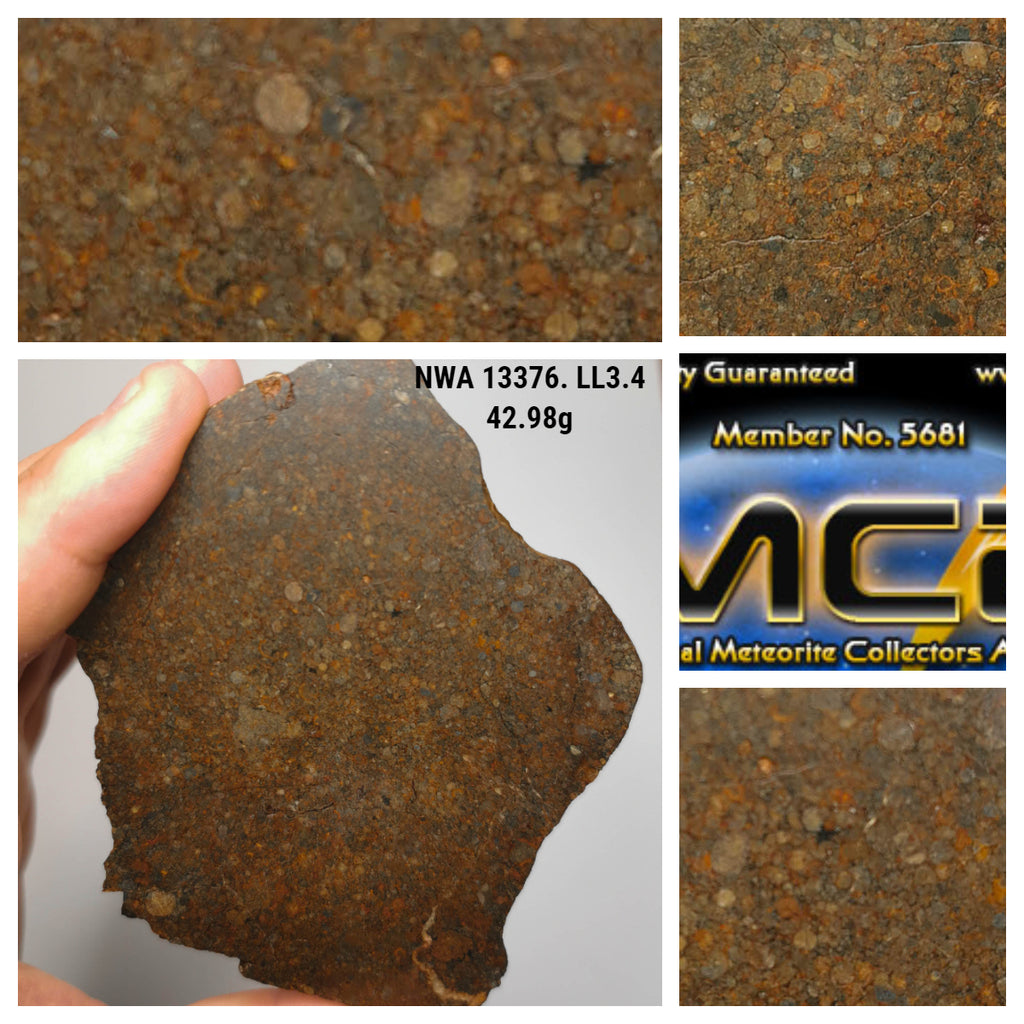 Northwest Africa 13376 LL3.4 Unequilibrated chondrite 42.98g. Steve Order