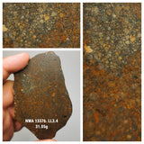 Northwest Africa 13376 LL3.4 Unequilibrated chondrite. Pat Order