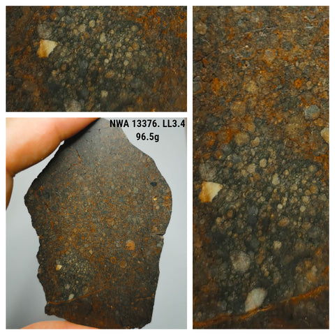 Northwest Africa 13376 LL3.4 Unequilibrated chondrite. Pat Order