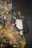 07909 -  Top Pale Blue Fluorite Crystals on Matrix Hameda Fluorite Mine South Morocco