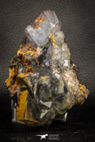 07909 -  Top Pale Blue Fluorite Crystals on Matrix Hameda Fluorite Mine South Morocco
