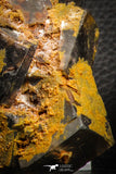 07909 -  Top Pale Blue Fluorite Crystals on Matrix Hameda Fluorite Mine South Morocco