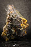 07909 -  Top Pale Blue Fluorite Crystals on Matrix Hameda Fluorite Mine South Morocco