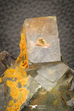 07909 -  Top Pale Blue Fluorite Crystals on Matrix Hameda Fluorite Mine South Morocco