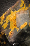 07909 -  Top Pale Blue Fluorite Crystals on Matrix Hameda Fluorite Mine South Morocco