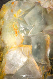 07910 -  Top Pale Blue Fluorite Crystals on Matrix Hameda Fluorite Mine South Morocco