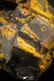 07912 -  Top Pale Blue Fluorite Crystals on Matrix Hameda Fluorite Mine South Morocco